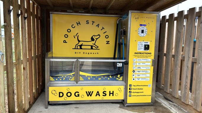 Self-service dog wash station with a yellow and black design near a wooden fence.